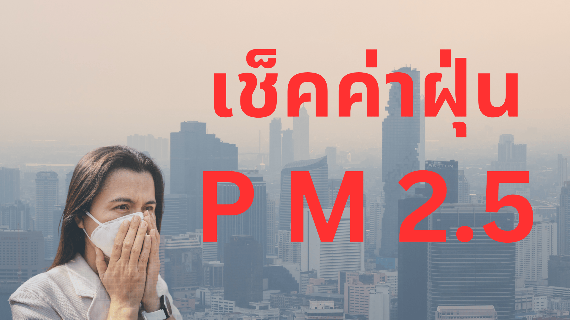 ฝุ่น pm
